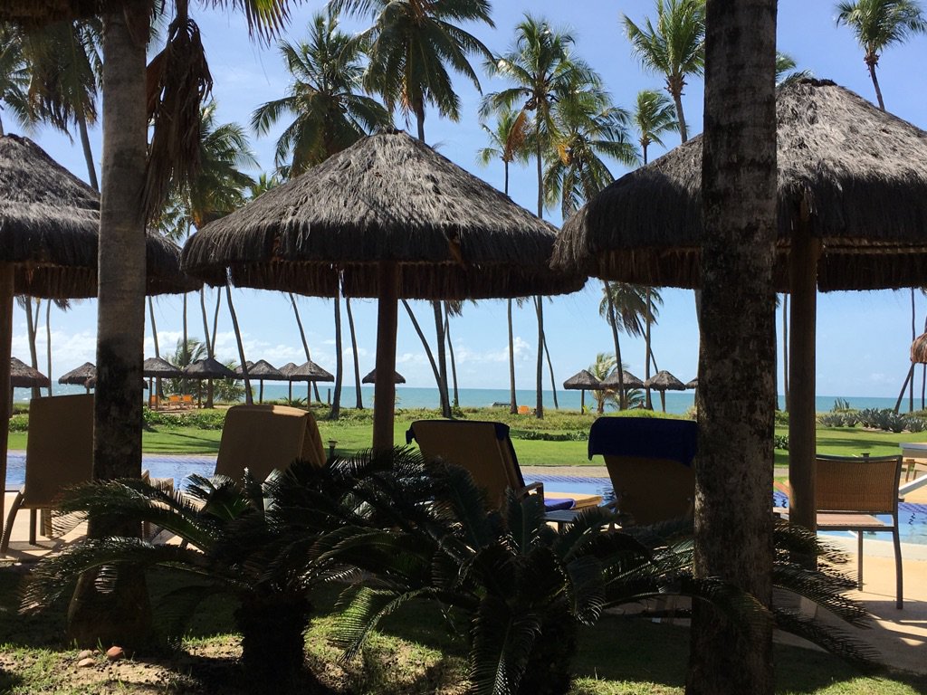 Joao Truran tweet media