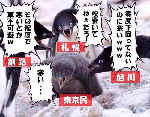 「寒い！」と騒ぐ東京都民を煽っていく北海道民の図ｗｗｗ