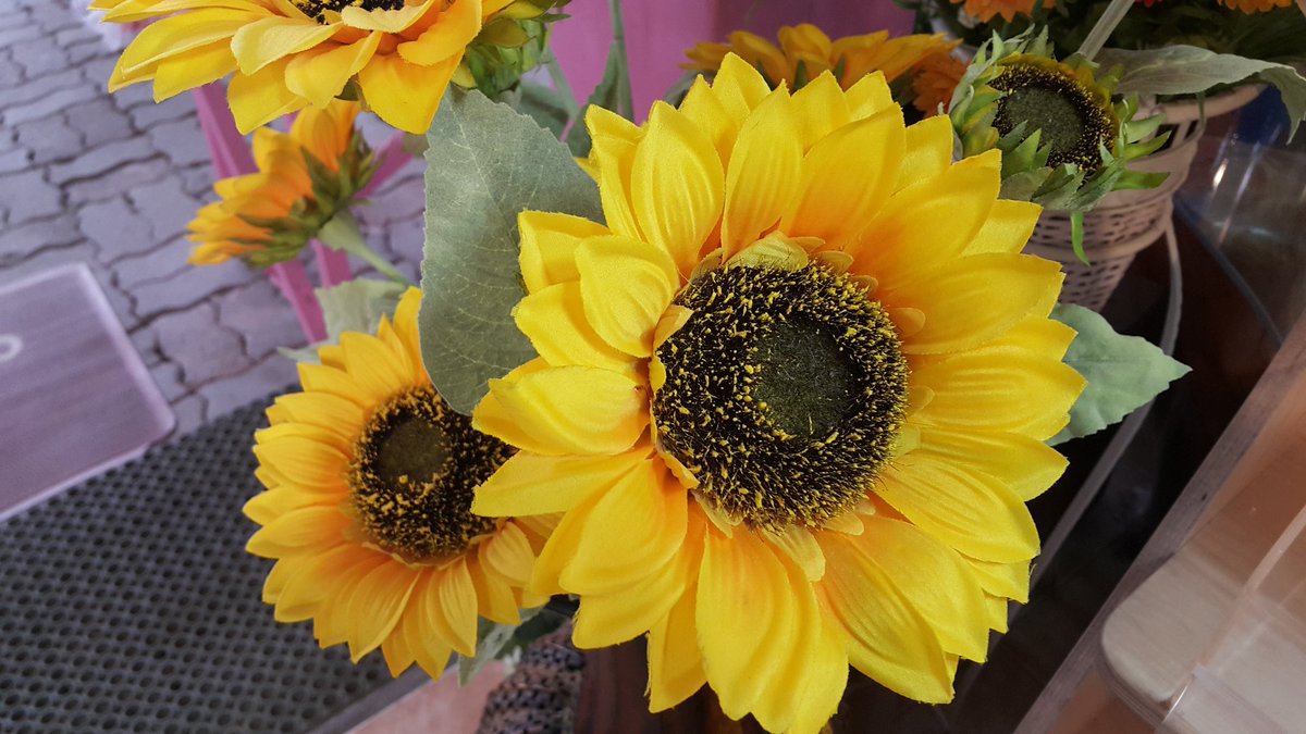 강문수 (@4520kms) on Twitter photo 