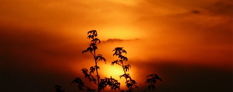 How to get a mortgage if you have bad credit...

ow.ly/9FUG301U10v

#Morttgage #BadCredit #Property #Blog