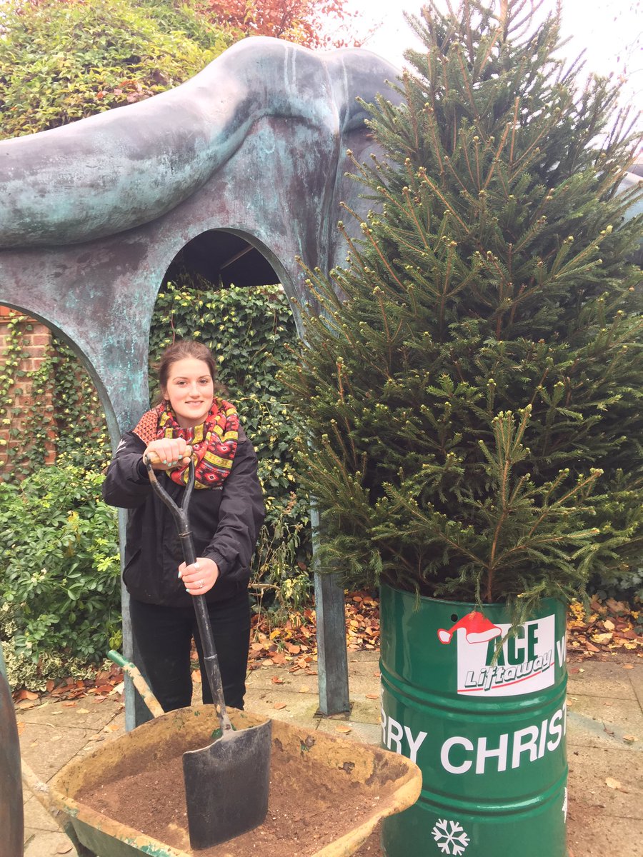 Big thanks to Poppy and co from <a href="/AceLiftawayLtd/">Ace Liftaway Ltd ♻️</a> for erecting the tree 🌲 in Latimer Walk