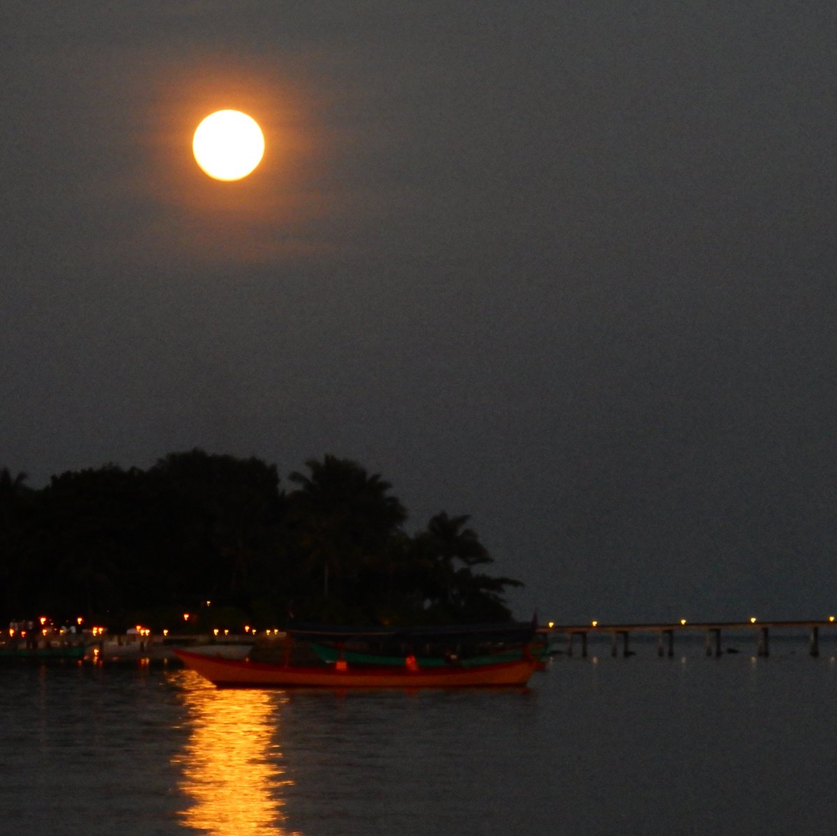 FrontierCBT's tweet photo. Our volunteers see the #supermoon2016 on a glorious night relaxing on the #beach #fridaymotivation #wanderlust 
< https://t.co/b8I98lGNNV https://t.co/sxq9FkdXc5