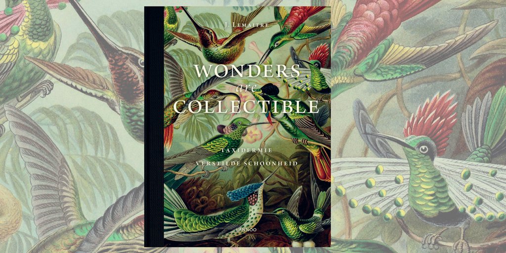 Uitgeverij Lannoo tweet media