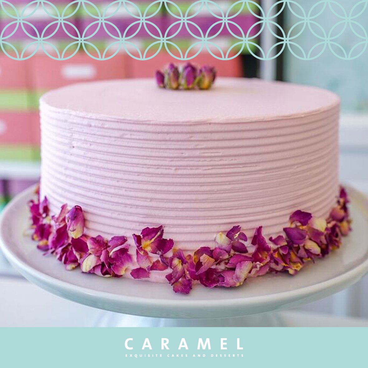 Caramel_Kuwait's tweet photo. Pretty in pink!
#CaramelKuwait https://t.co/h7TtbJBTWk