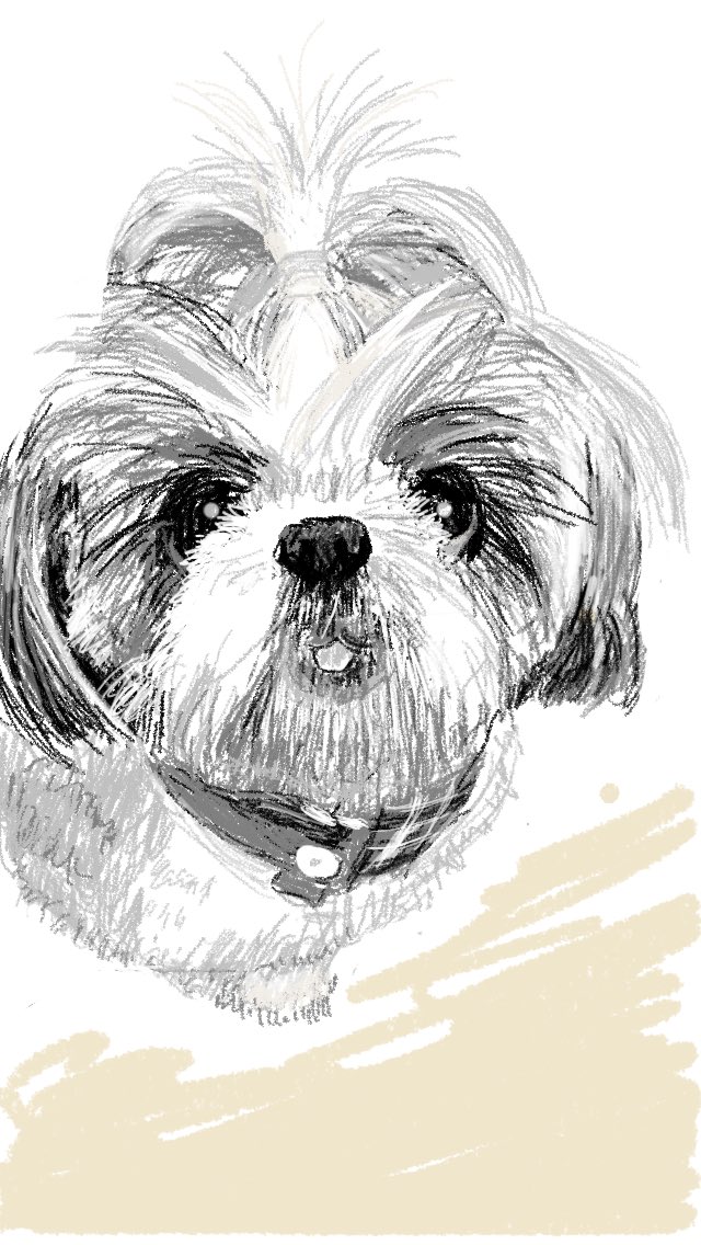 Aikoのウタ A Twitter 期間限定無料セール中のアプリ Sketches Pro とスタイラスペン Jot Pro を使ってあんちゃんを描いてみました W Aiko あんころもち