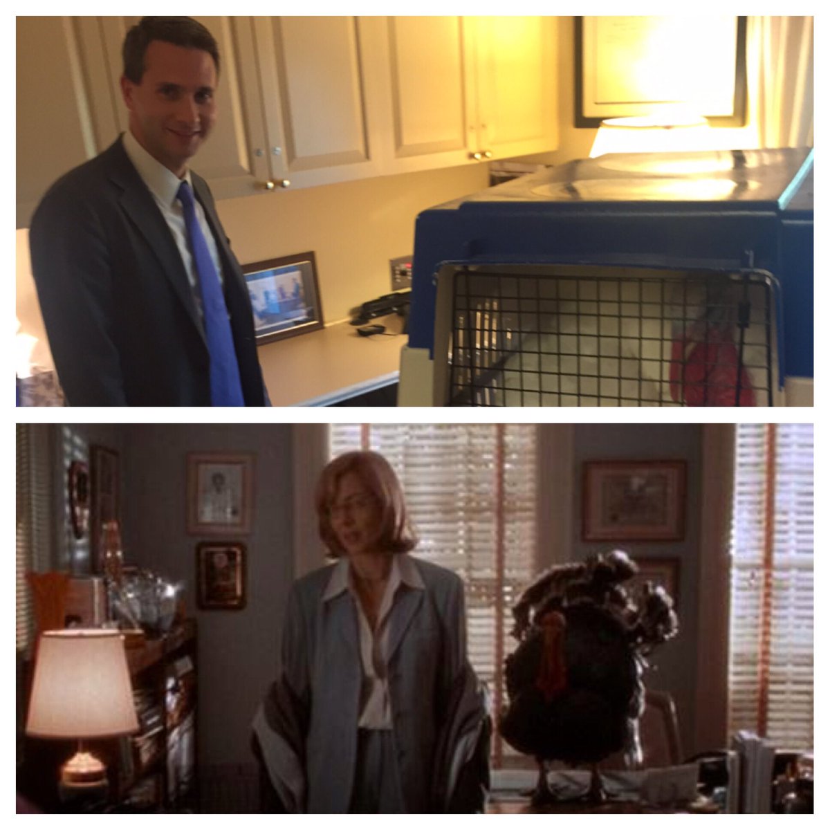 West WING 🐔 <a href="/Schultz44/">E. Schultz -Archived</a> <a href="/AllisonBJanney/">Allison Janney</a>