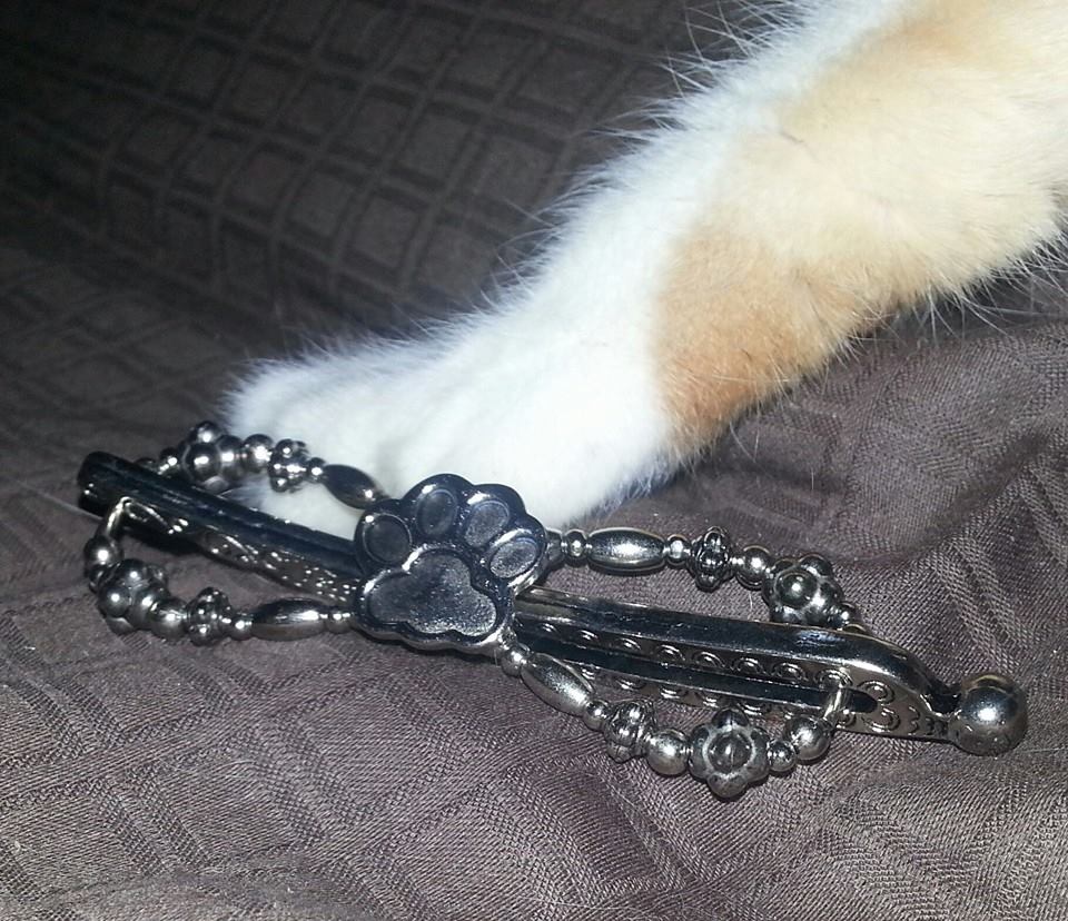 crazyforinfo's tweet photo. #ilovecats I help women transform their boring styles into dazzling ones in seconds. #hairclips #quickstyles #sahm https://t.co/49IsCHIJWV
