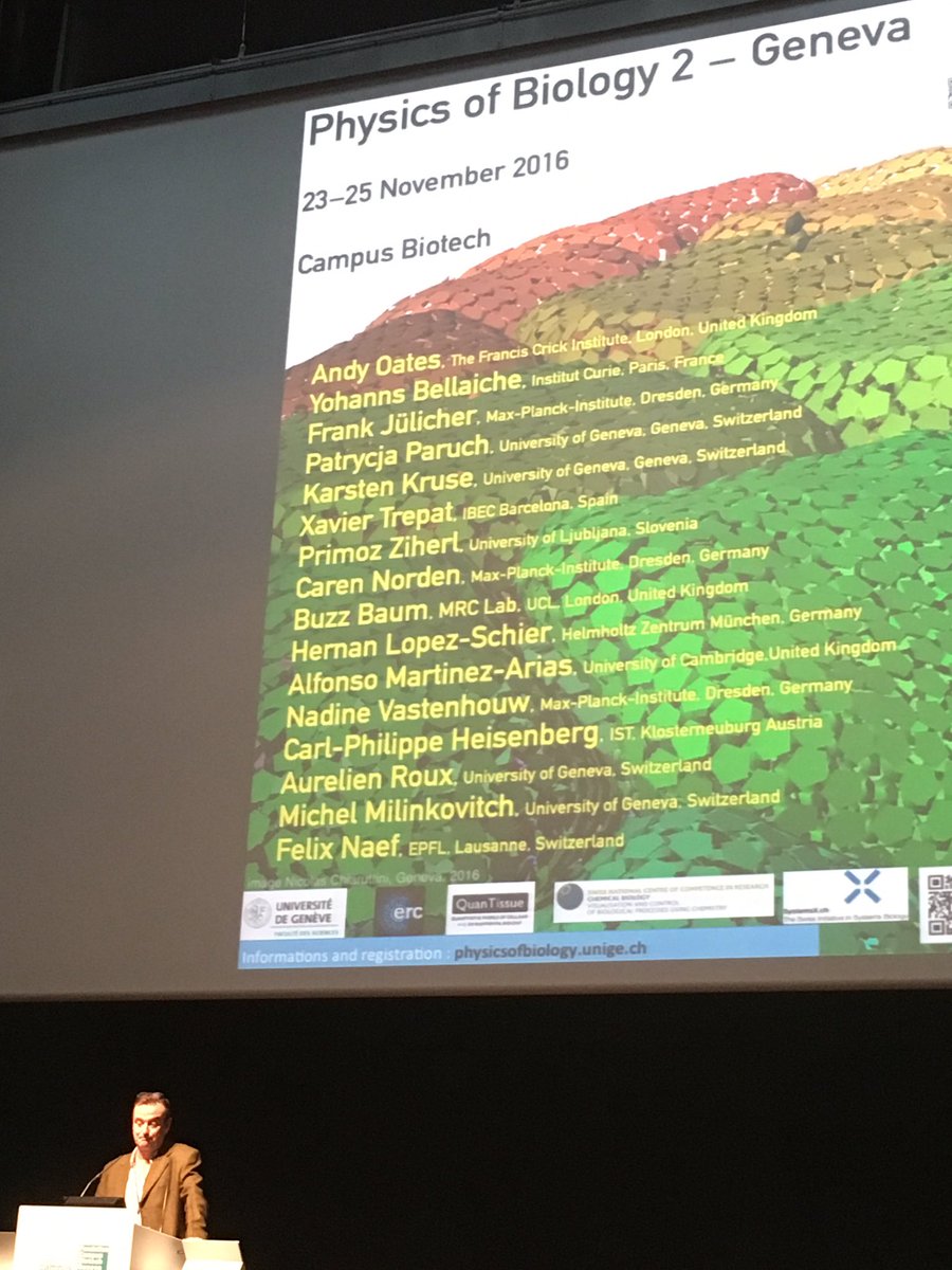 XavierTrepat's tweet photo. Marcos Gonzalez-Gaitan kicks off the Physics of Biology 2 in Geneva. #PhysBiol2 @AMartinezArias @HernocLs @RouxLab @BaumBuzz https://t.co/ebItj7wzmd