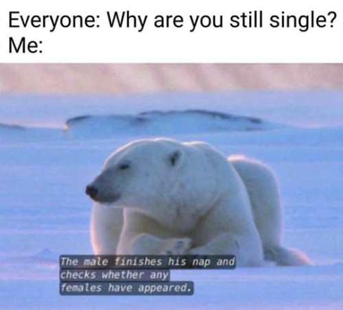 MensHumor's tweet photo. How my love life works... https://t.co/3CLEJTmrxG