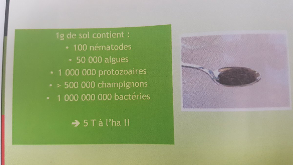 Formation <a href="/asfis/">ASFIS</a> : le sol dans tous ses états... Très instructif... 5t/ha de vie.