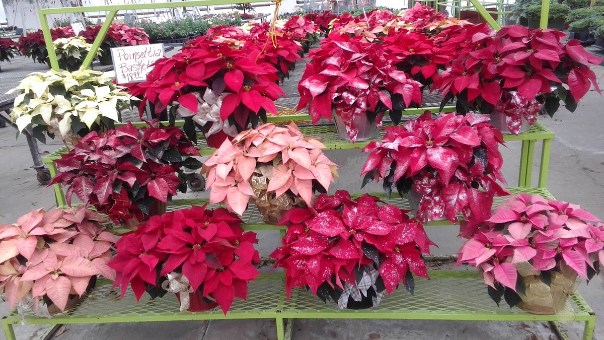 ParksRetail's tweet image. We would like to wish all of our customers and friends a happy Thanksgiving!  We will close at 4pm today and open Monday at 8am.