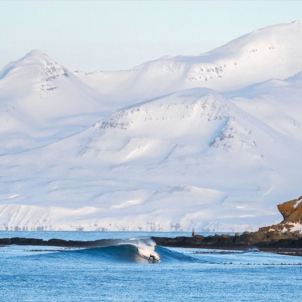 dive_is's tweet photo. Cold and trendy 🏄🏽💦❄️@chrisburkard https://t.co/WU0ktCsSdh