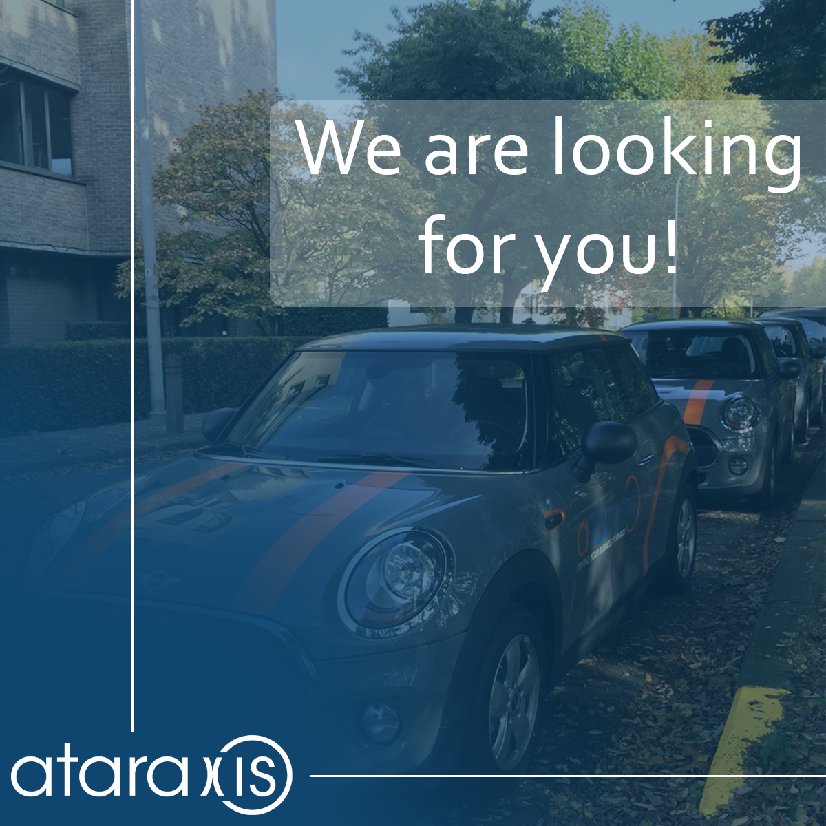 AtaraxisNV's tweet photo. Want to work for a young and dynamic company? Check out our vacancies in the following link: https://t.co/AxSbMjf42P https://t.co/HT8OVARunm