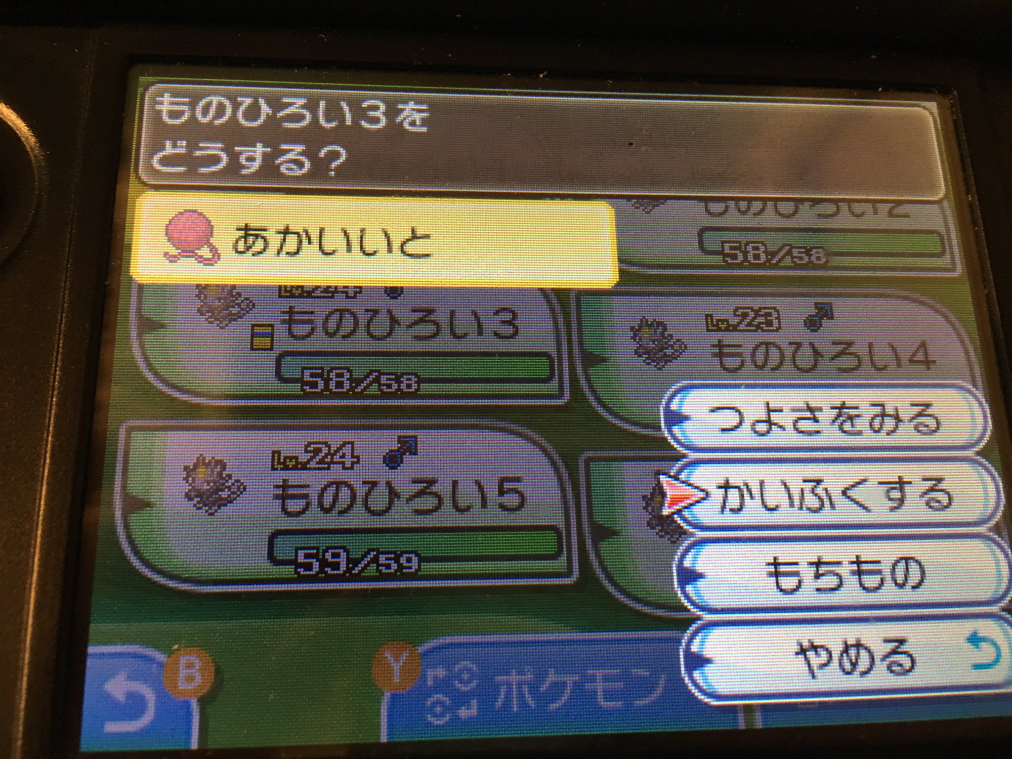 はしも Pa Twitter 三番目のニャース全然働かないなー って思ったら最後に頑張ってくれた ポケモンサンムーン ニャース あかいいと ものひろい