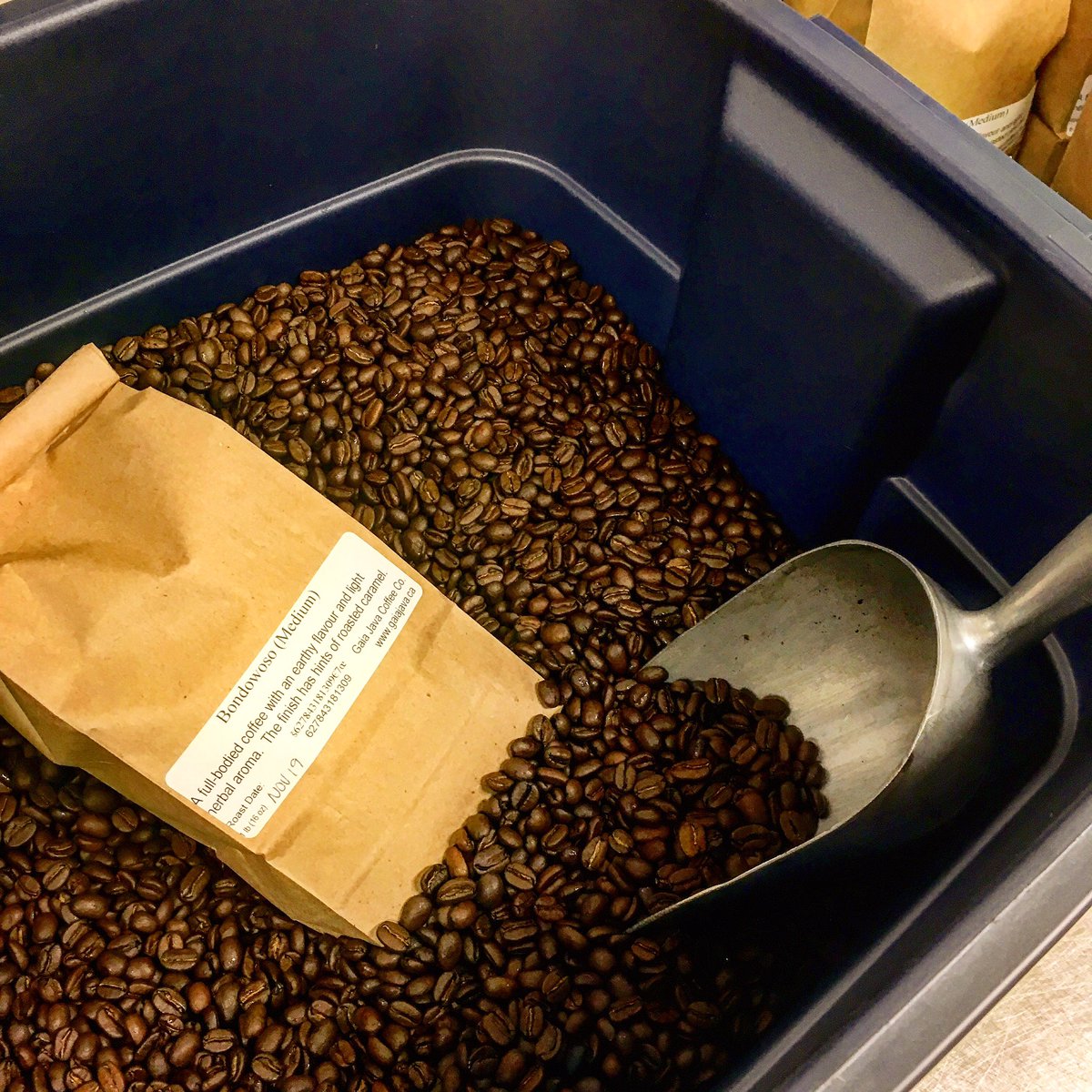 gaiajava's tweet image. #NewRoast #Newbeans come in and try the nutty and chocolaty tastes of #indonesia
