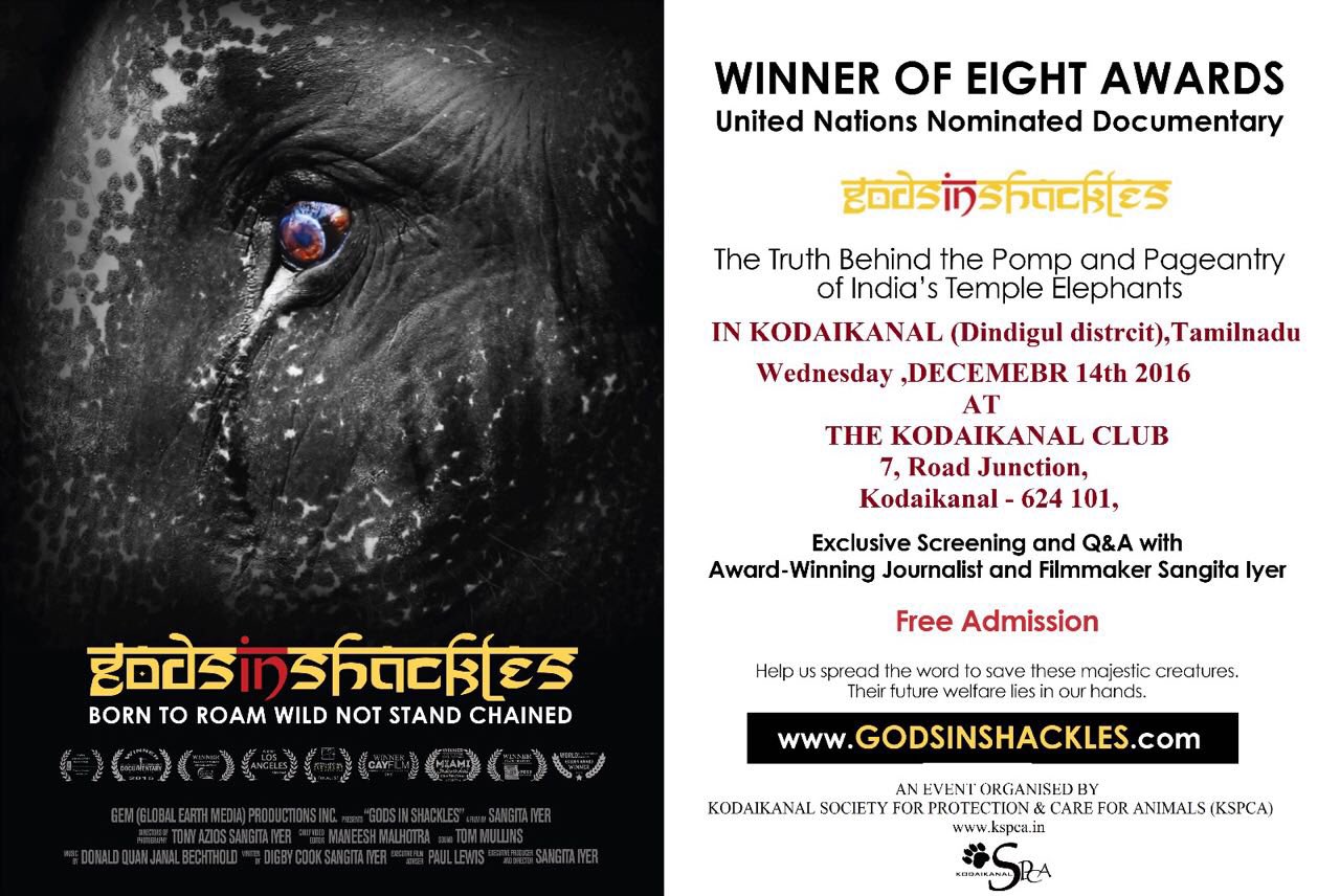 Kspca You Are All Invited For The Screening Of The Movie Gods In Shackles A Documentary On Captive Elephants On Dec 14 Kodaikanal Elephants T Co Ag3bjd7nof Twitter