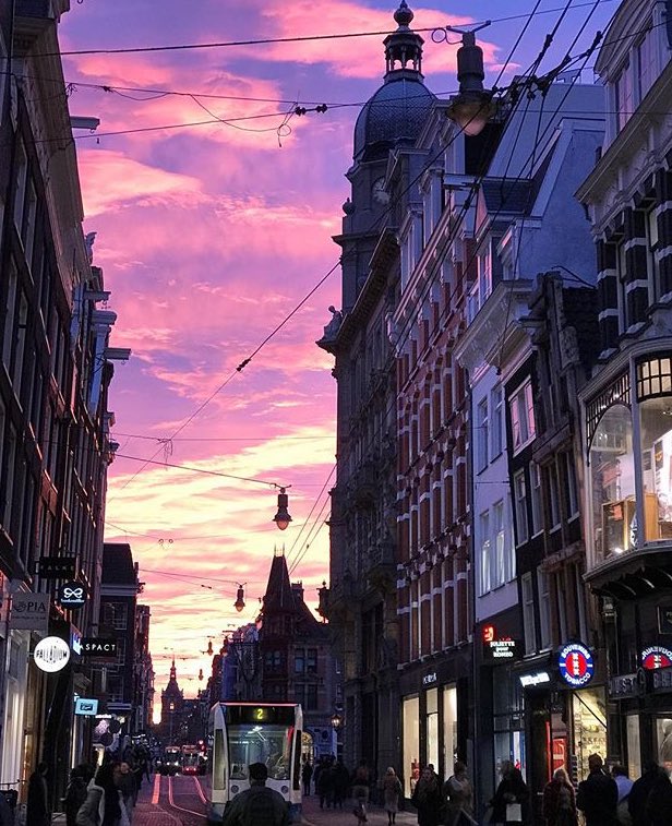 amsterdamguru's tweet photo. city lights.. what a sight !  #Amsterdam #sunset #skyline https://t.co/28jO3cOb3u