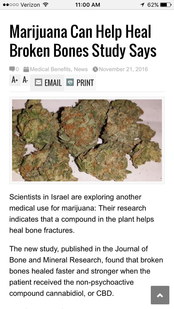 TreeAmigos420's tweet photo. What can't marijuana do???
https://t.co/iPEdqMB2d1 https://t.co/6qDhxwlqFa