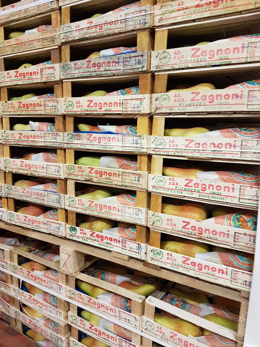 S@MY.SCARDIGLI (@scardigli_) on Twitter photo 