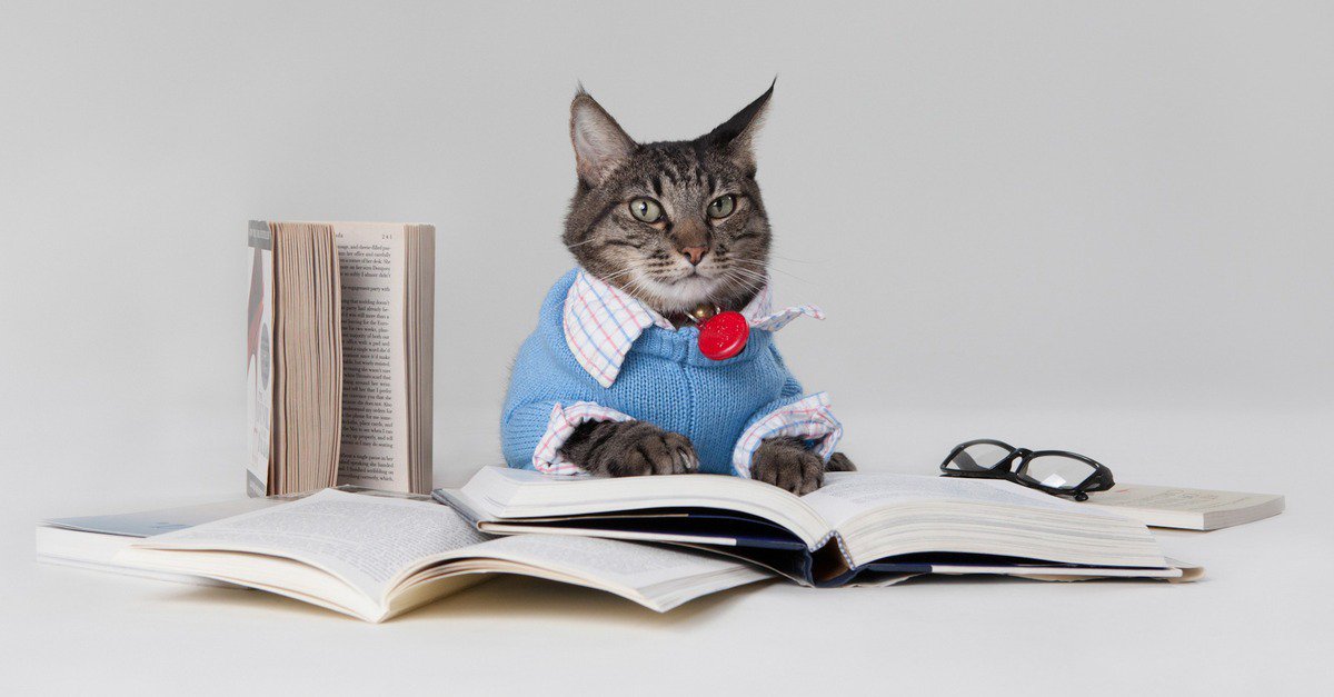 BayLeaHuffman's tweet photo. Writing Tip: When writing your essay, be sure to find reliable resources, eliminate wordiness, and do away with weasel words. https://t.co/QpZcZX4rso