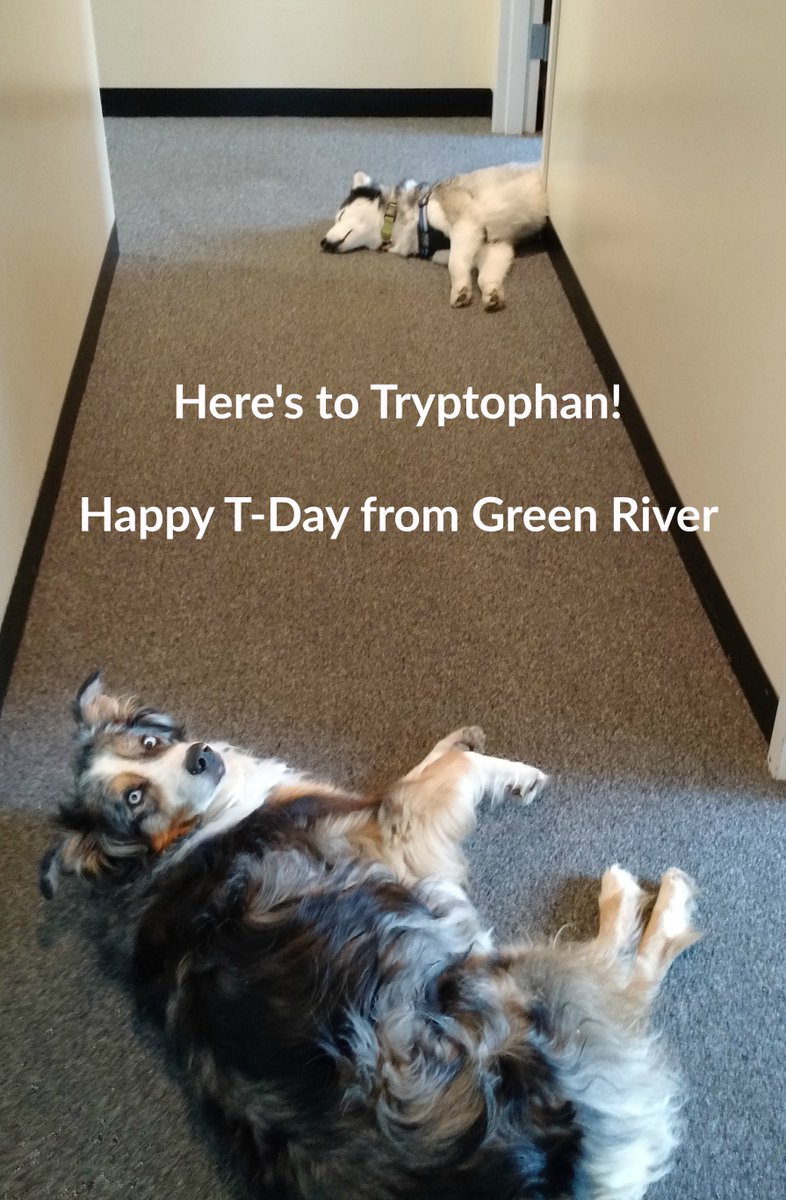 Green River tweet media