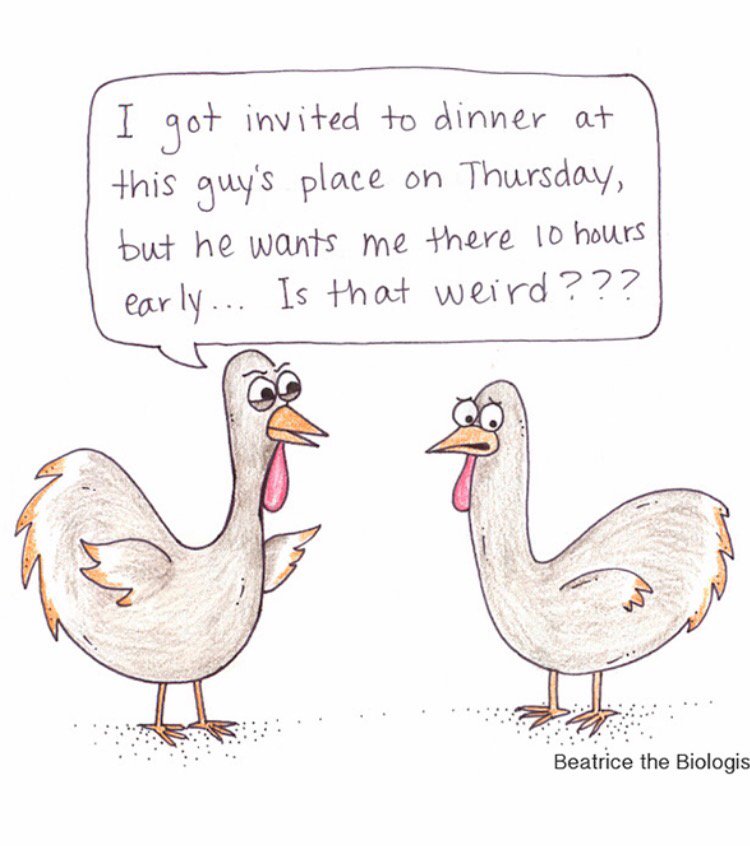 Happy Thanksgiving