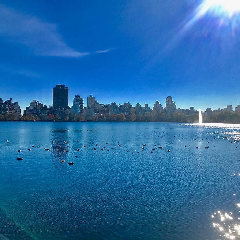 CPSightseeing's tweet photo. How gorgeous does the Reservoir look this morning ? 😍🌊☀️ #centralpark #wanderlust #sightse… https://t.co/TcjUhA2lmS https://t.co/z5dsLDjwWB