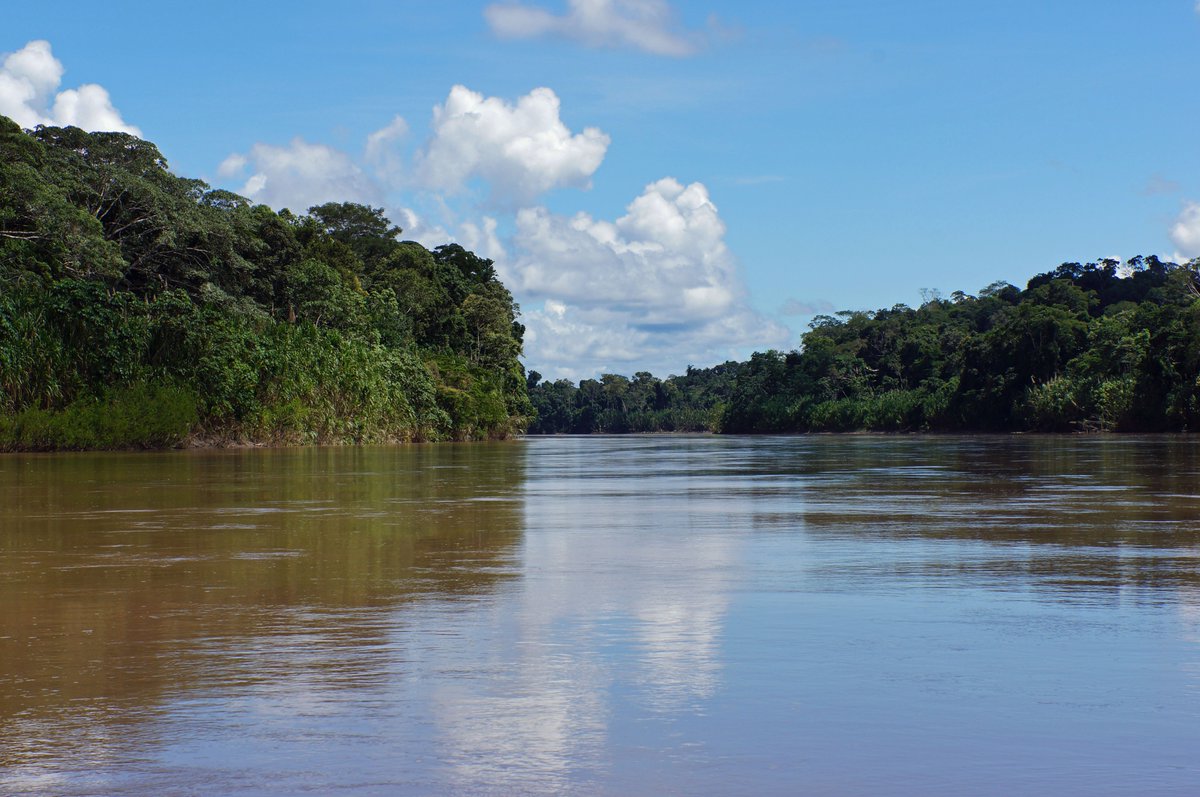 rainforestflow's tweet photo. It's #WaterCrushWednesday &amp; we are sharing our favorite picture of water! Manu River, protected zone of the #ManuPark, #Peru @EPAwater https://t.co/I7XFaYNcF1