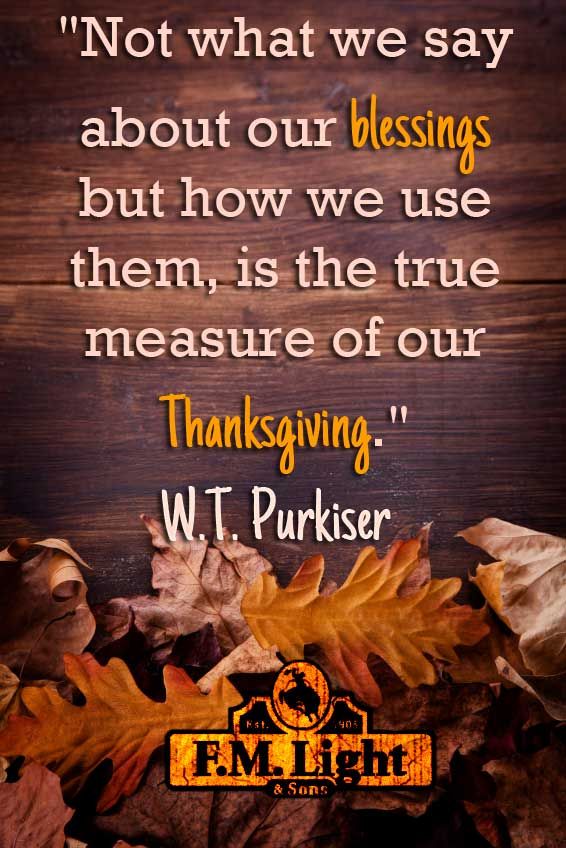 fmlights's tweet image. 