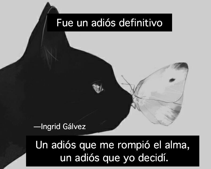 Cami_MilaCa's tweet photo. https://t.co/KQAD6b0cgi