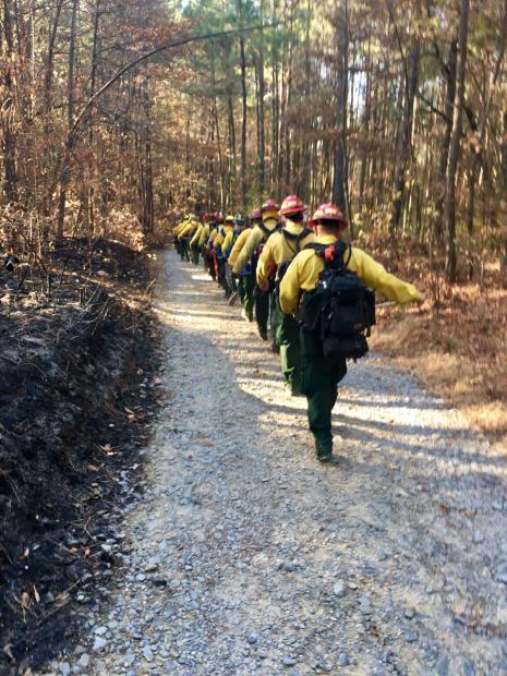FSNIFC's tweet image. As you give thanks tomorrow, please remember the 4,000+ wildland firefighters that will spend the day on firelines. Happy Thanksgiving!