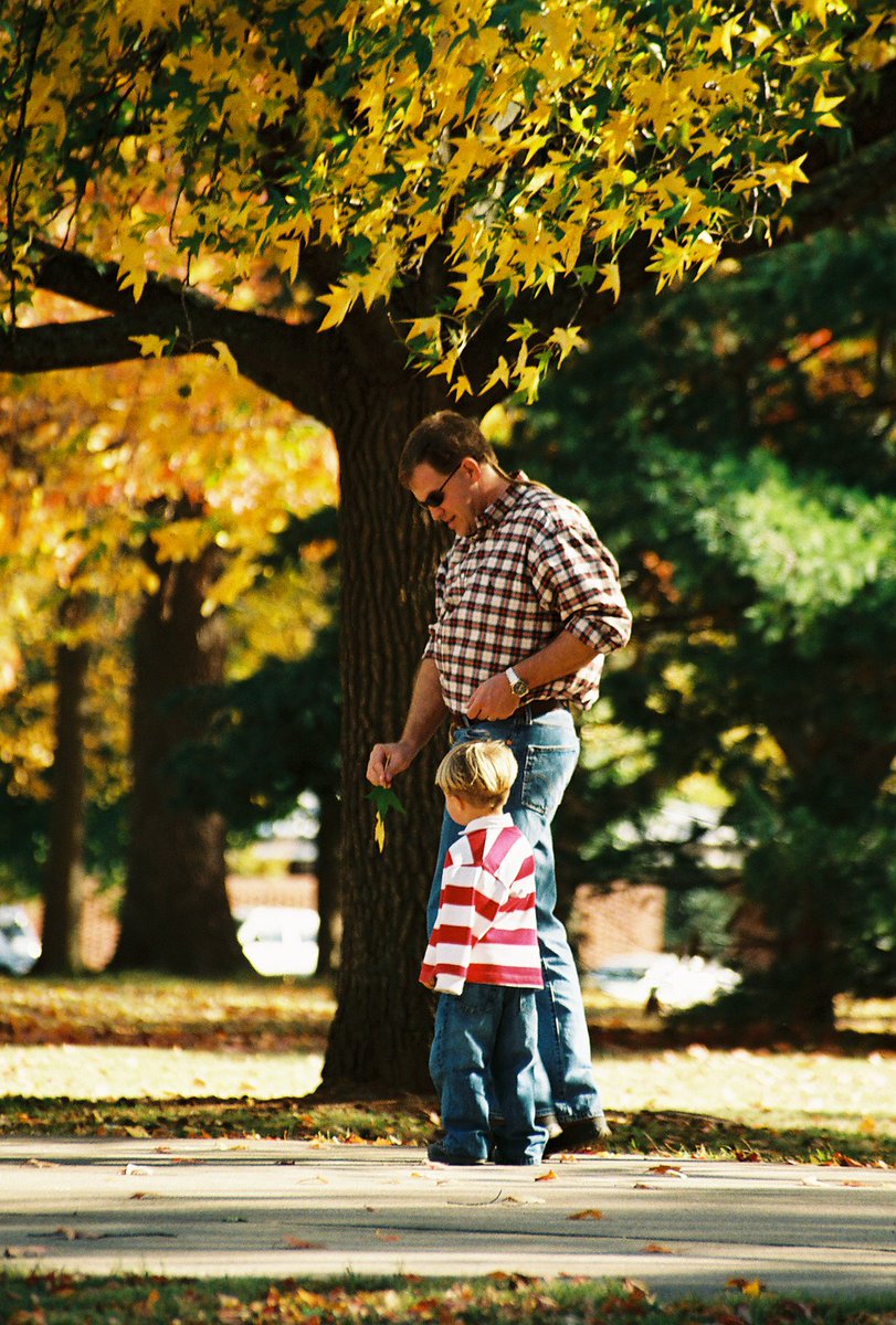 YoungDadsCo's tweet photo. Enjoy the best that autumn has to offer and pile up some autumn leafs to jump in!#52Daysofdad https://t.co/9Ct2vEFGMV
