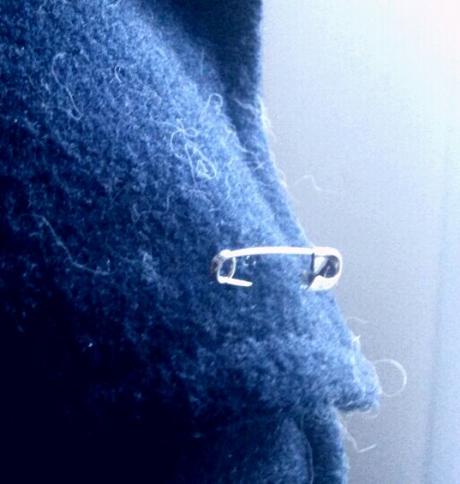 Danee_Gurl's tweet photo. #safetypin &amp; cat hair ;) against hate #love #community  #letssticktogether https://t.co/oA1slwmxAu
