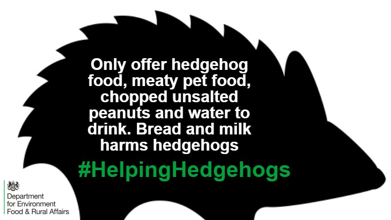 DefraGovUK's tweet photo. If you're thinking of #helpinghedgehogs by leaving food out, here's some useful tips on what you can feed them @Help4Hedgehogs https://t.co/GdMVpjv13R
