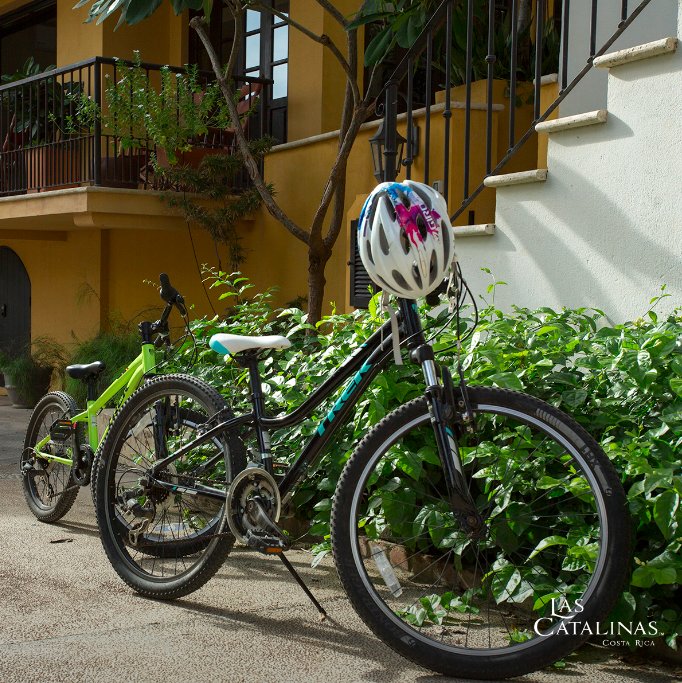 The freedom and excitement of cycling across our town is unbeatable.