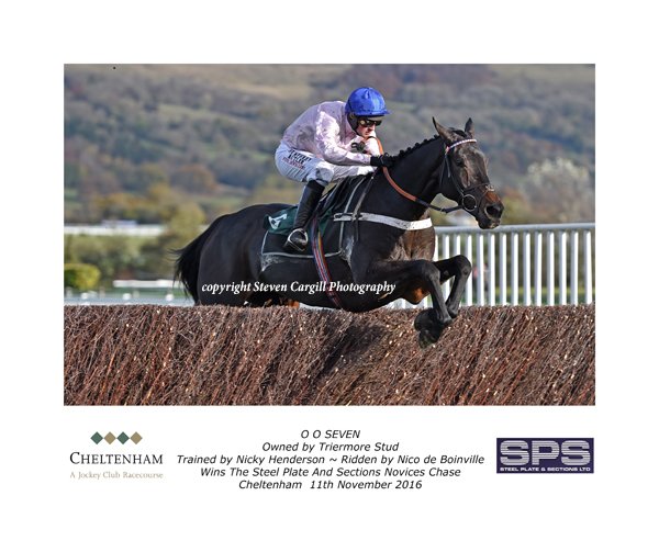 Now 5/10 and chasing debut, 6yo g O O SEVEN (Flemensfirth) wins 20f Novices Chase <a href="/CheltenhamRaces/">CheltenhamRacecourse</a> today for <a href="/sevenbarrows/">Nicky Henderson</a> <a href="/triermore_stud/">Triermore Stud</a>