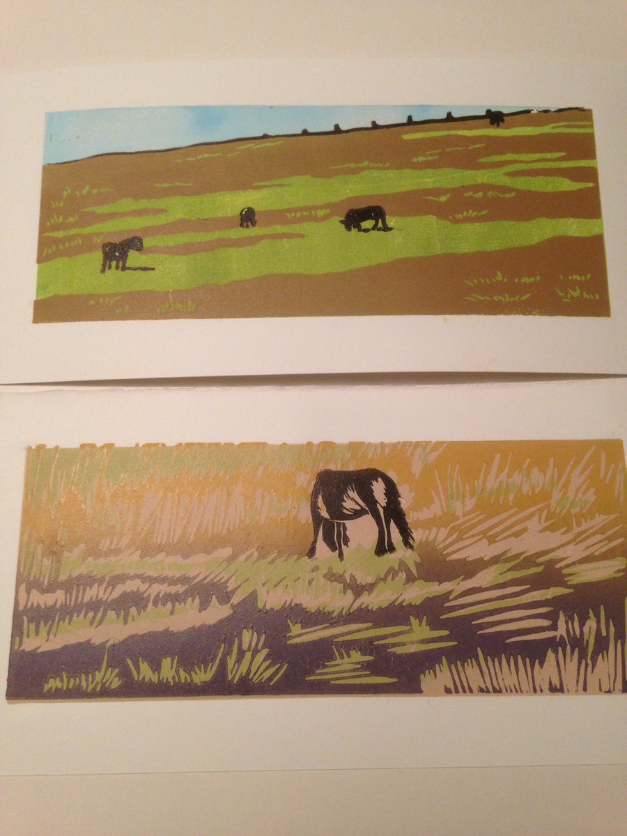 #prints ...inspired by beautiful Exmoor and the gorgeous ponies that roam wild there.  #linocut #printmaking