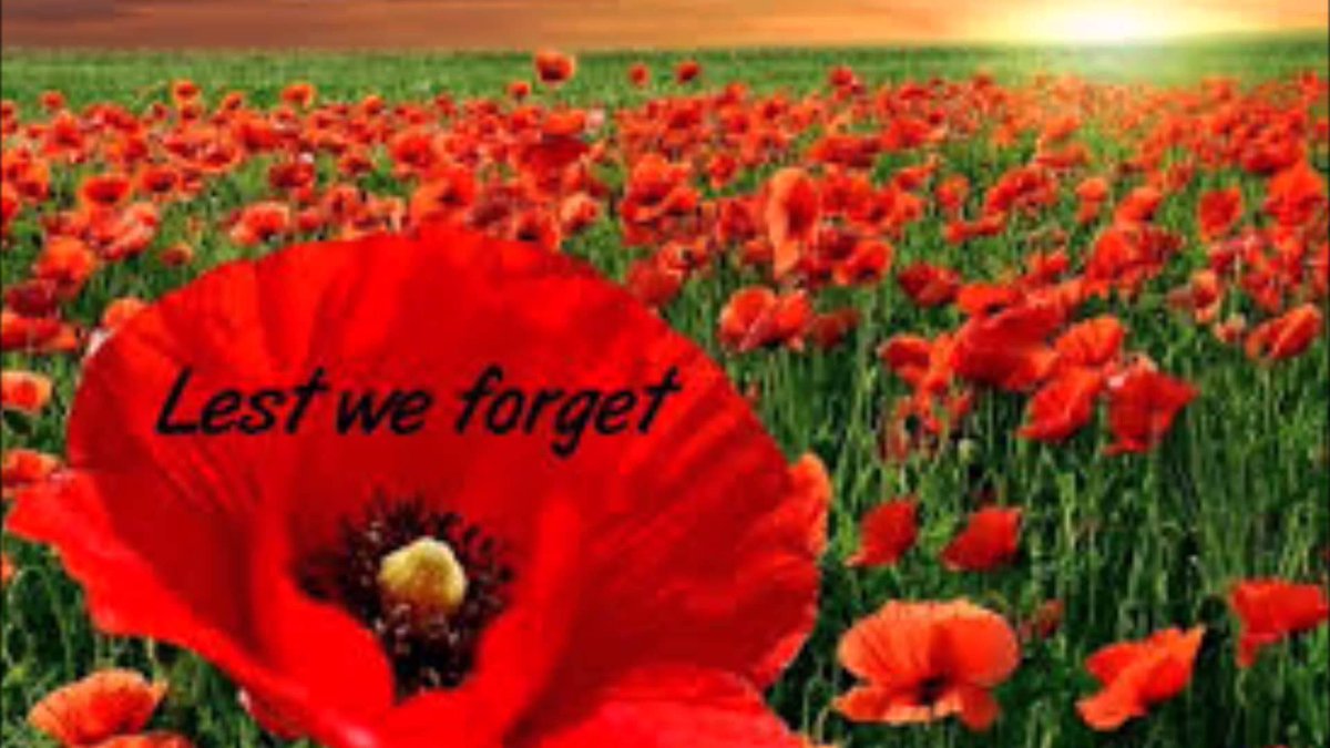 FakePoppyUSA's tweet photo. https://t.co/fh0zIcZxOL