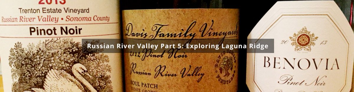 NextGenWine's tweet photo. Great look at #russianrivervalley's Laguna Ridge by @MV_FoodDrink! https://t.co/EziT0IX4S7 @BenoviaWinery @JosephSwanWines @DavisWines #wine https://t.co/9ctlsf7bG8