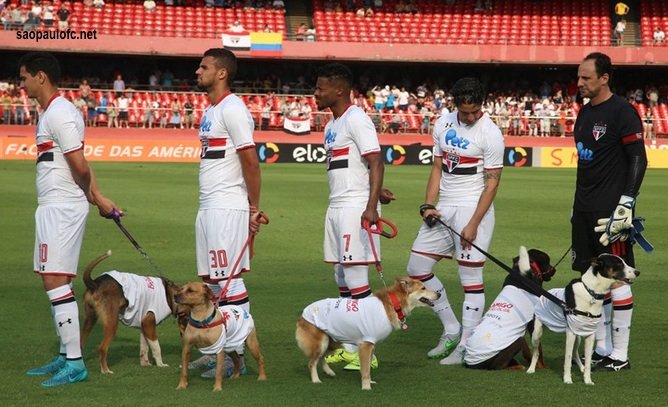 PerroContento's tweet image. Equipo sorprende entrando a juego de futbol con #perros para promover adopción &amp;gt;&amp;gt; buff.ly/2eJYkte