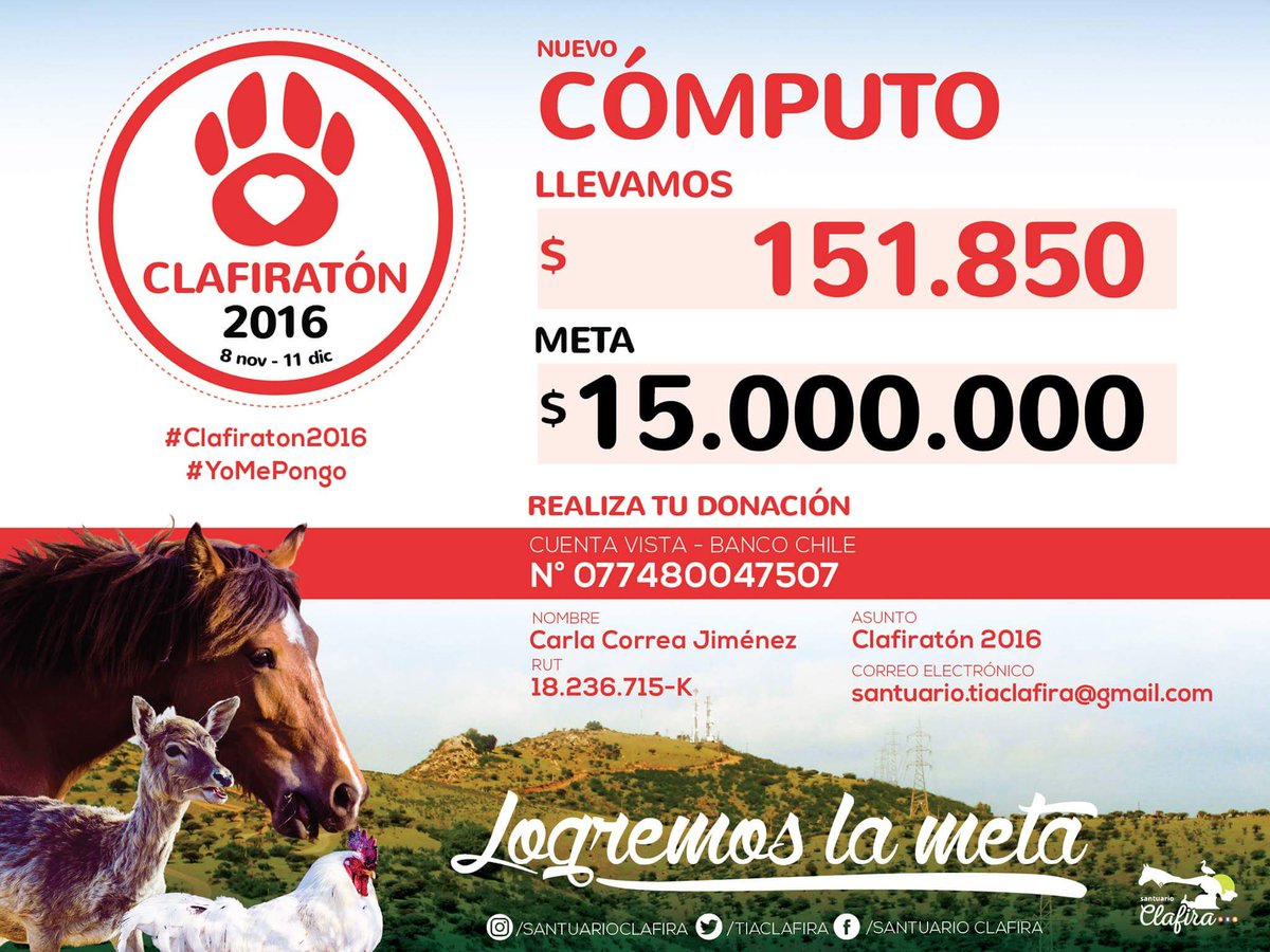 SClafira's tweet image. ¡Tenemos el primer cómputo! :D

 #Clafiratón2016  🐥 #YoMePongo 

Más información-&amp;gt; bit.ly/Clafiratón