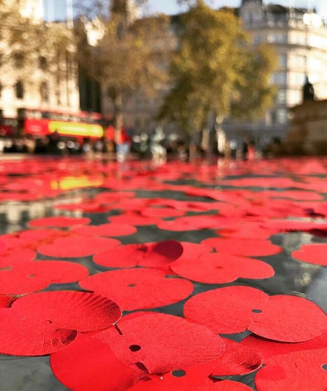 lifestylings's tweet photo. Honouring #Heroes &amp; #Peace on #RemembranceDay2016 @ #TrafalgarSquare! #JustFeatures  #JustEfe #LoveLondon https://t.co/aJKJbh1sQx
