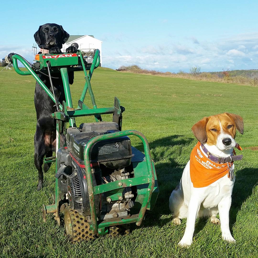 Craig Rohde (@CraigRohde) | Twitter