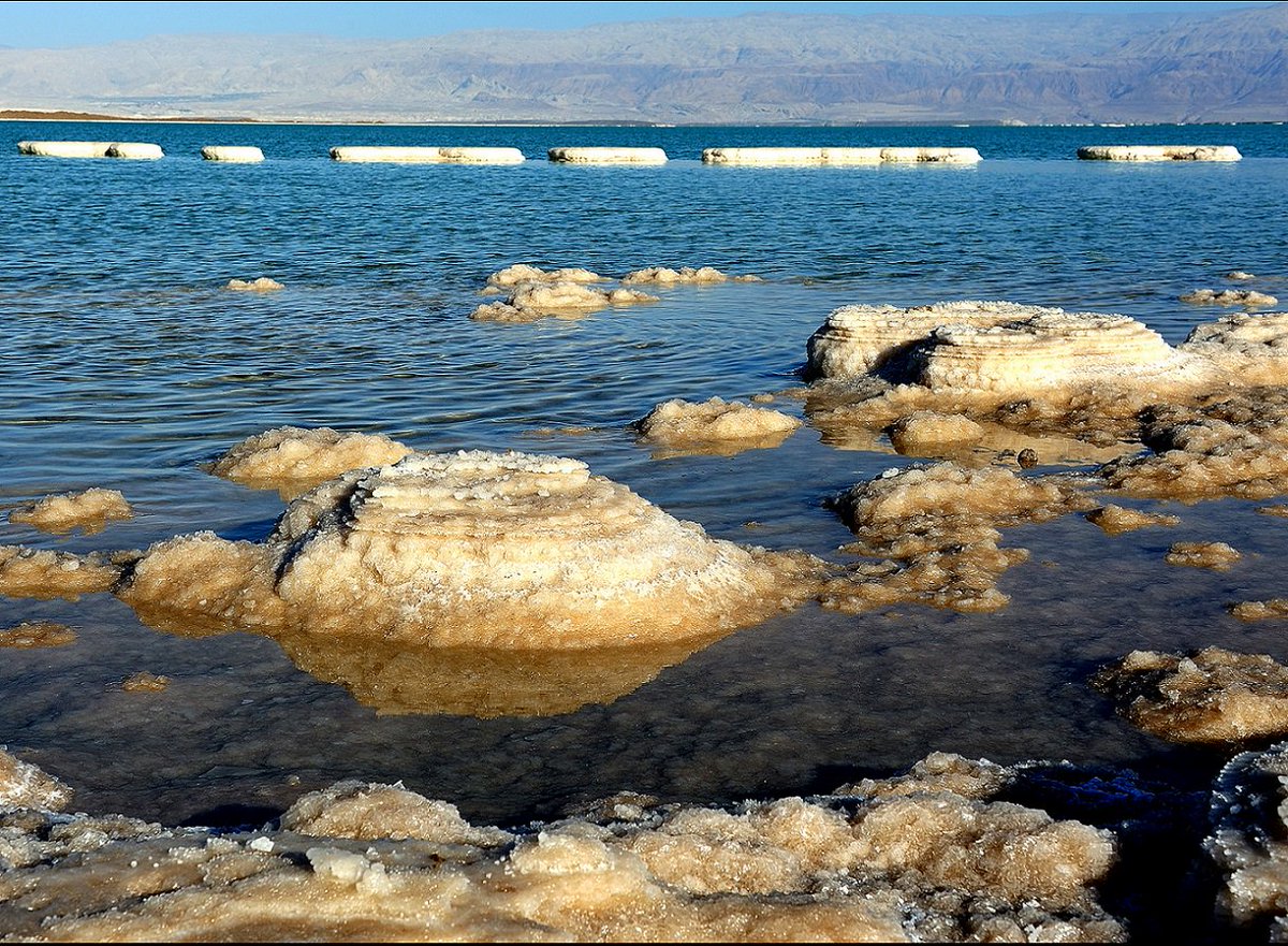 Hebrewvirtually's tweet photo. parashat lech lecha- bible words that are also modern Hebrew:
ים המלח
(yam hamelakh)
the dead sea 
#shabbatshalom https://t.co/Jtfdr1UQO5