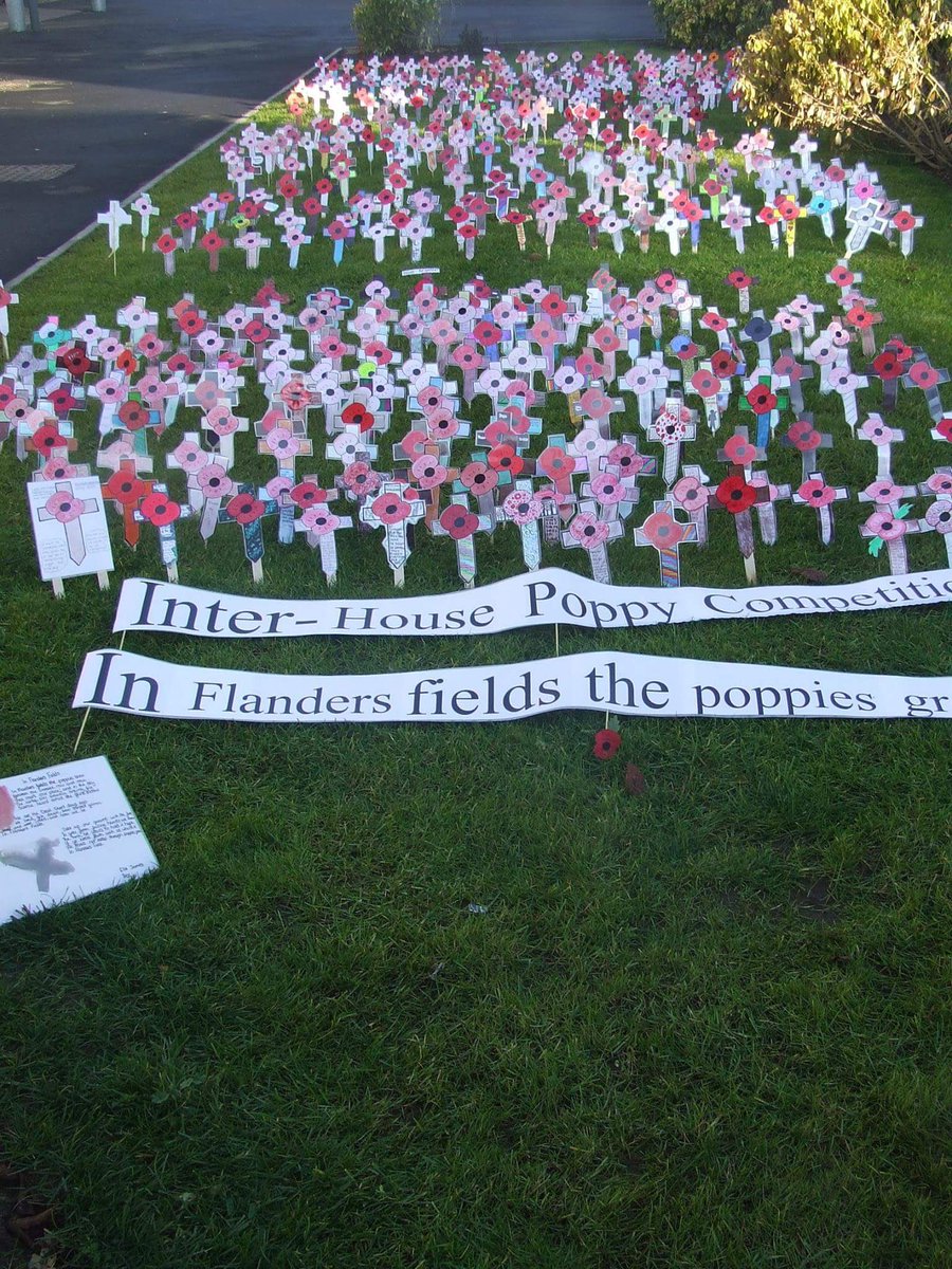 JWSRawdonHouse's tweet photo. Our very own Flanders Field. #lestweforget #inflandersfieldsthepoppiesgrow.. Well done to all those who designed a poppy @JWSHouseSystem https://t.co/we4a1gbJng