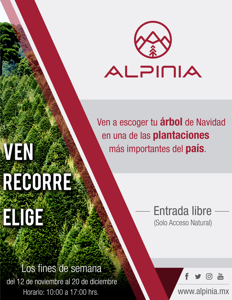 Ven y disfruta de <a href="/AlpiniaMx/">Alpinia</a> #ParqueNatural y lleva a casa tu árbol de navidad

Por Pre-inauguración |Entrada libre| alpinia.mx