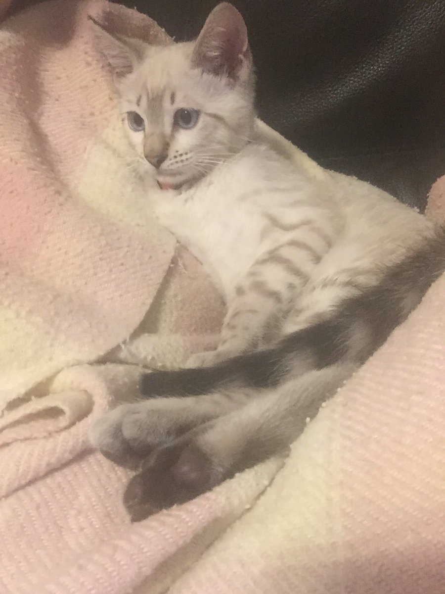 MyTaira's tweet photo. He thinks he owns the house https://t.co/e0eVCLELQ1