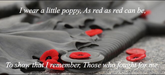 Stringpuppet1's tweet image. #NeverForget proud to be free. #thankaveteran