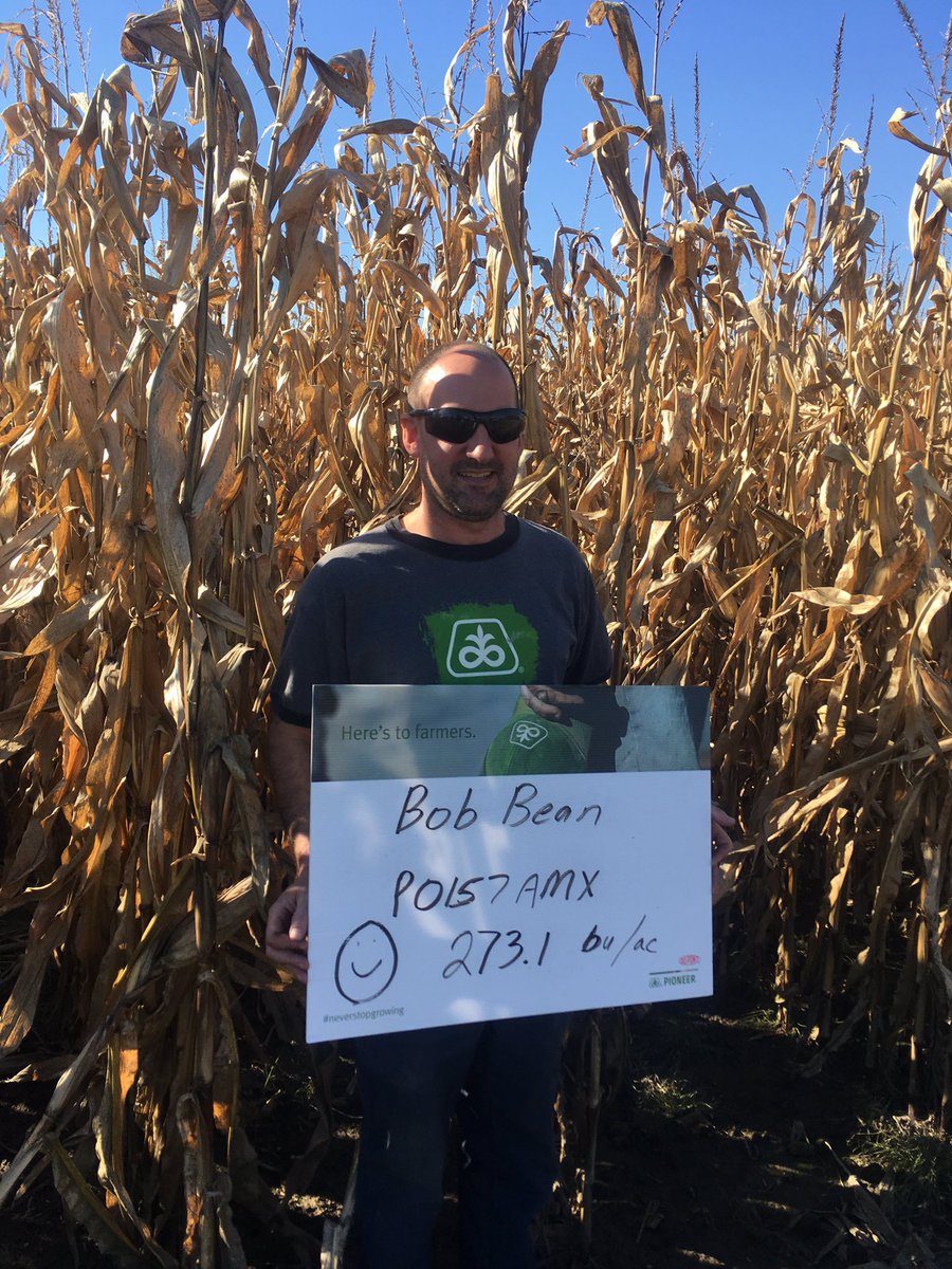 johnmcr01's tweet photo. I thought 269 was high at the other farm. #herestofarmers. @DuPontPioneer https://t.co/9RHrzgJw65