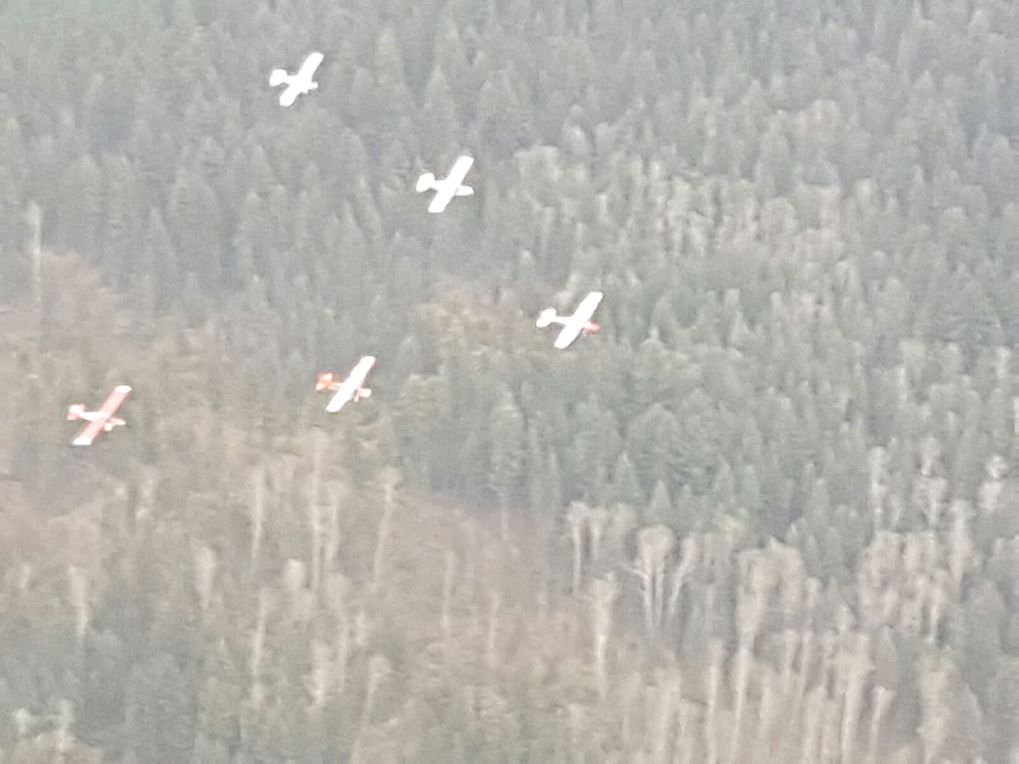 ReclaimPD's tweet image. Remembrance Day formation. Fifth year flying high bird!!